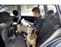 Las mascotas y los coches ‘salvan los muebles’ del gasto del consumidor en EEUU.