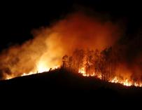 Estabilizado el incendio en Asturias aunque todavía hay varios focos activos