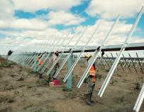 Soltec es uno de los grandes fabricantes mundiales de trackers solares