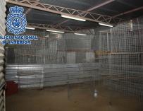 Operación de la Policía Nacional en Málaga en la que fueron detenidas 21 personas por maltrato animal al organizar peleas clandestinas de gallos