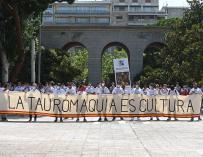 Manifestación en defensa de la Tauromaquia