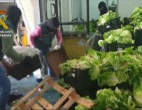 Intervenidos 155 kilos de marihuana y 60 de hachís y detenidas 7 personas en La Algaba y Montequinto