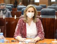 La consejera madrileña de Medio Ambiente, Ordenación del Territorio y Sostenibilidad, Paloma Martín, durante una sesión plenaria en la Asamblea de Madrid.