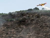 Medios aéreos y terrestres trabajan este sábado en la extinción del incendio declarado el viernes en la localidad abulense de El Tiemblo.