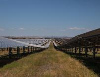La planta solar de Amazon AWS, a 23 de junio de 2021, en Alcalá de Guadaíra, Sevilla (Andalucía, España).
María José López / Europa Press
  (Foto de ARCHIVO)
23/6/2021