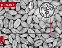 Podcast FAO y crisis alimentaria
