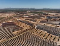 Acciona Energía pone en marcha el mayor complejo fotovoltaico de España