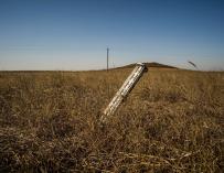 El porqué del bloqueo del grano de Ucrania: Hungría, Polonia y Eslovaquia