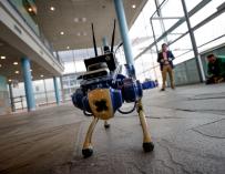 El perro-robot 'Tefi', dotado con inteligencia artificial, es una propuesta de apoyo seguro para invidentes