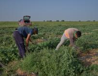 BBVA anuncia un préstamo a 6 años para agricultores afectados por la sequía