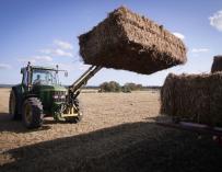 La CNMC investiga un posible cártel de venta de maquinaria agrícola
