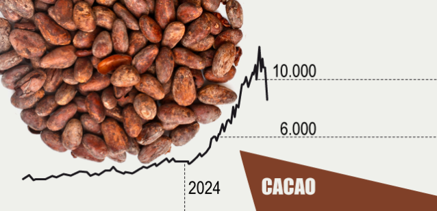 Gráfico cacao