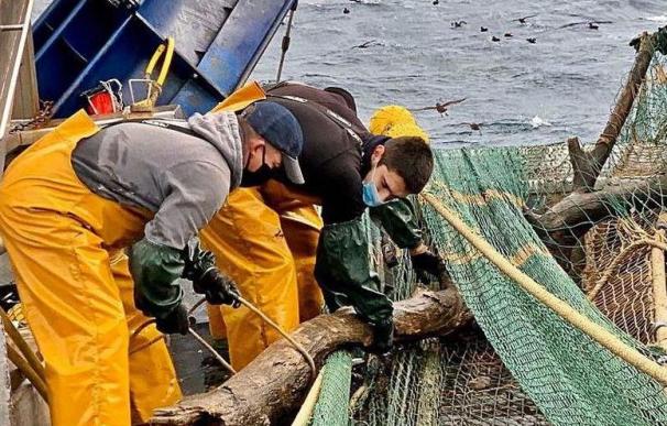 Miles de empleos dependen de la pesca del calamar en la zona de las Malvinas.