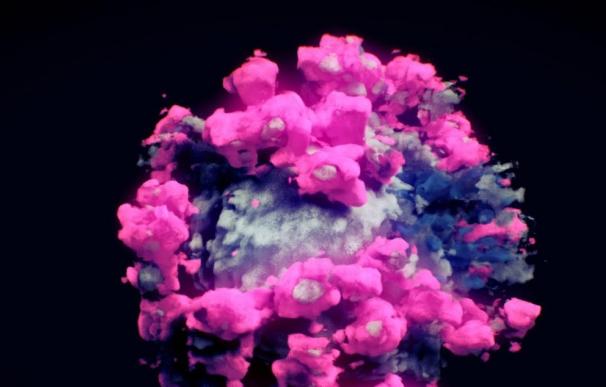 Logran la primera foto real del coronavirus en tres dimensiones