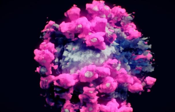 Primera imagen del coronavirus en tres dimensiones