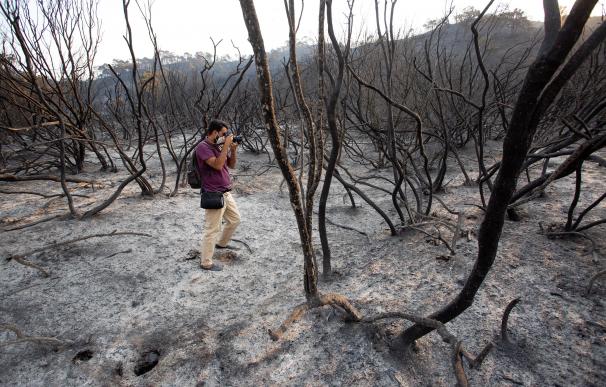 Sigue la lucha contra el fuego de Sierra Bermeja con mejor previsión del clima