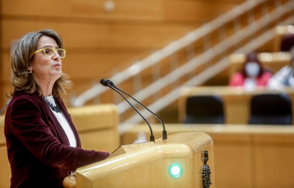 Teresa Ribera, vicepresidenta tercera y ministra de Transición Ecológica y Reto Demográfico, sesión de control