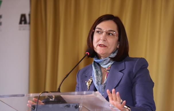 La presidenta de la CNMC, Cani Fernández