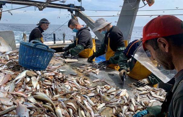 España rechaza la nueva propuesta sobre la pesca en el Mediterráneo.