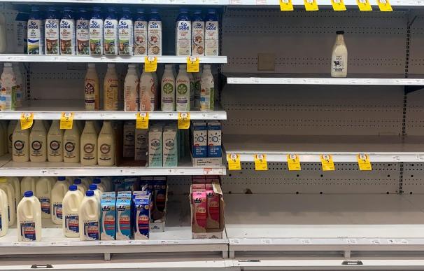 En 2022 cerraron casi dos granjas de leche al día, según Unión de Uniones