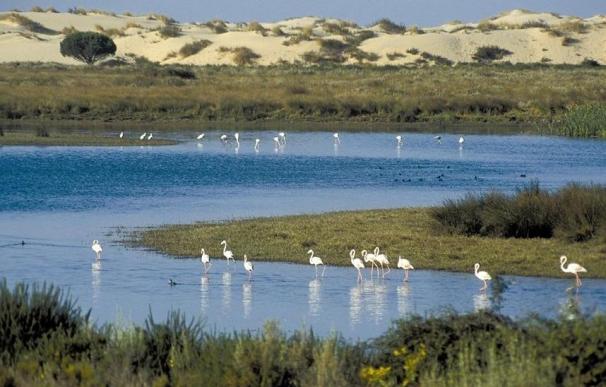 Bruselas advierte a España que utilizará "todos los medios" para proteger Doñana