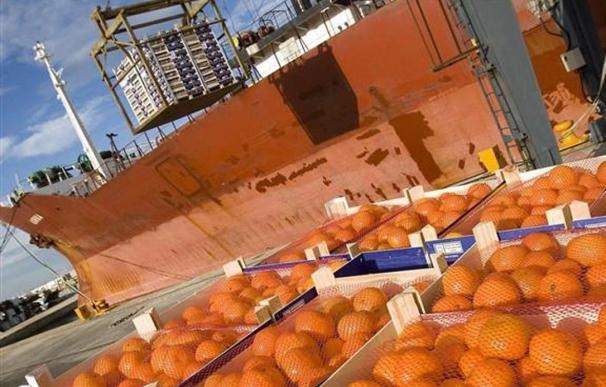 El freno del consumo y la llegada de la naranja egipcia alarma a los productores