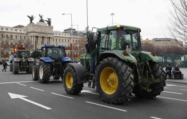Tractor Ministerio de Agricultura
