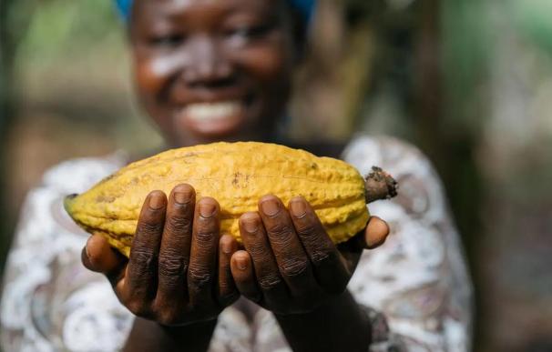 Una mujer sostiene una vaina de cacao.