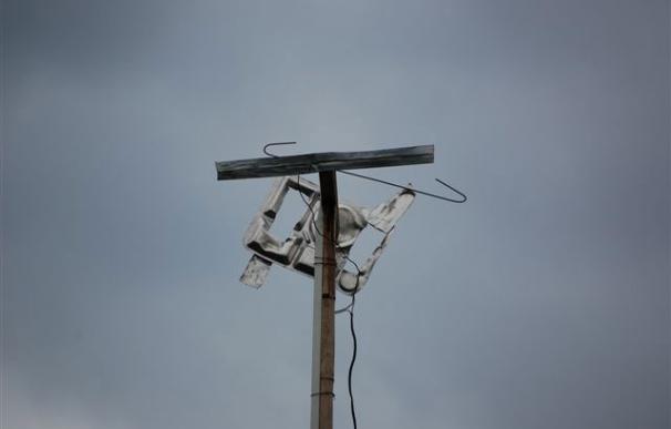 antena bandeja