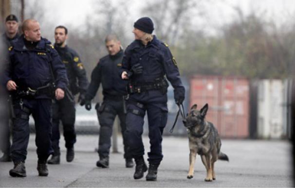 polis suecos