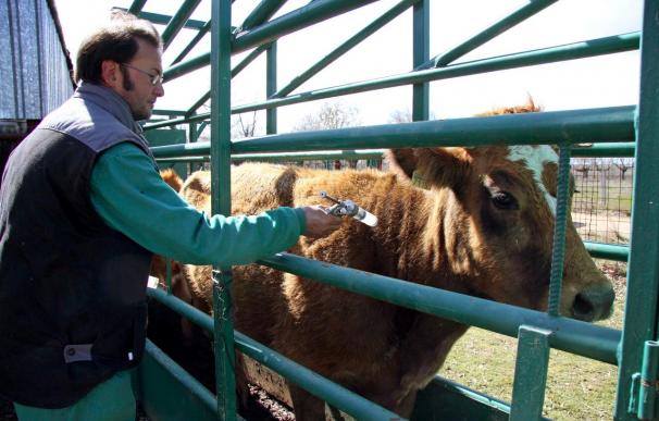 La CE otorga a España 43 millones para combatir enfermedades animales en 2010