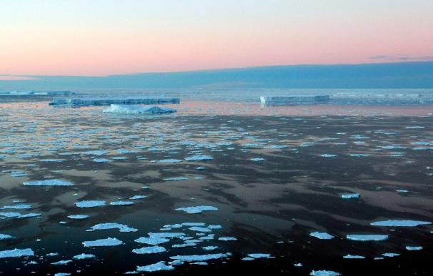 Un grupo de icebergs está a sólo 250 kilómetros del sur de Nueva Zelanda