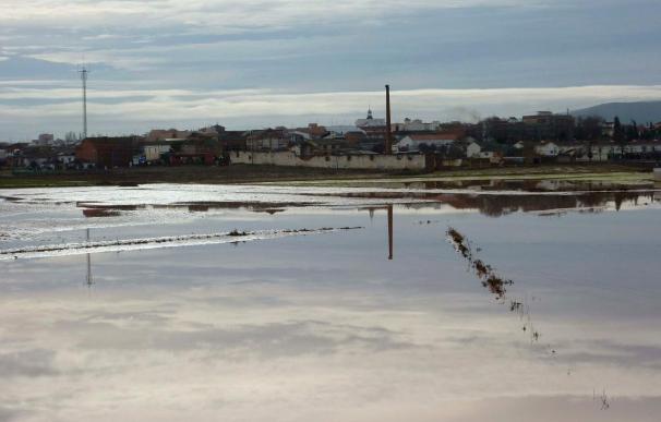 Calzada de Calatrava estudia pedir la declaración de zona catastrófica tras las inundaciones