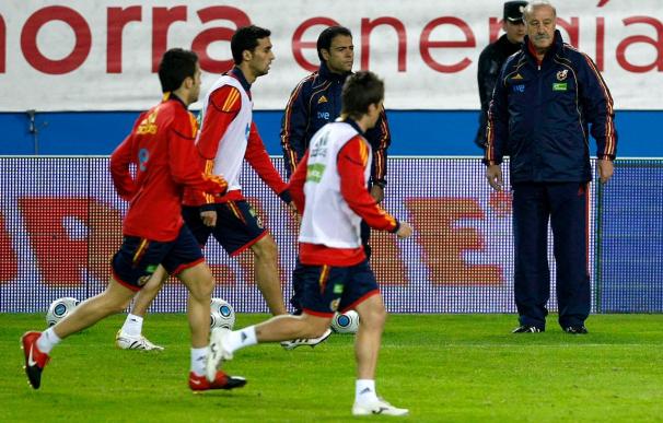 España jugará tres amistosos durante la fase de preparación para Sudáfrica 2010