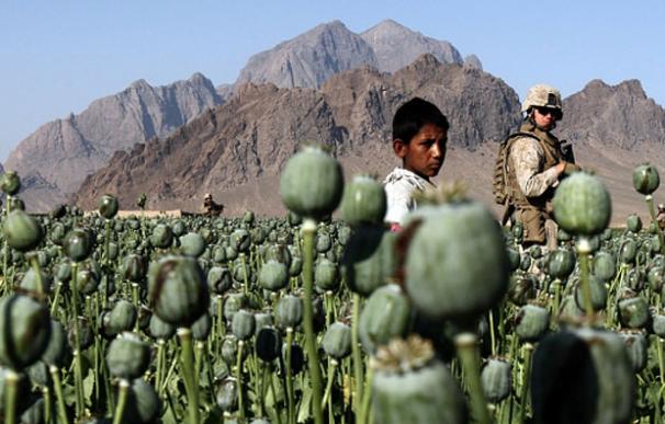 Afganistán es uno de los mayores productores de heroína del mundo | Reuters