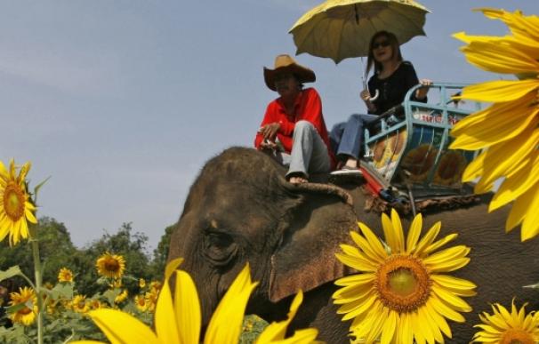 Los turistas extranjeros suelen tener que pagar más por los mismos servicios | Reuters