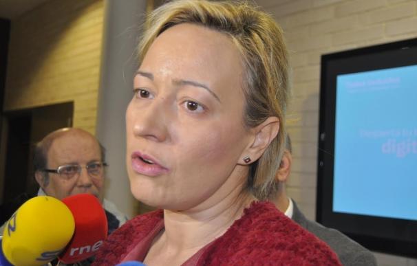 Gastón trasladará al ministro de Energía su apuesta por el futuro de la Central Térmica de Andorra