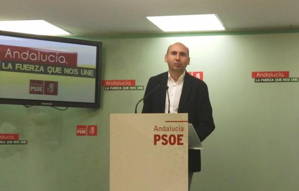 PSOE insiste en que la moción de censura en Alhaurín de la Torre es por "regeneración democrática y legalidad"