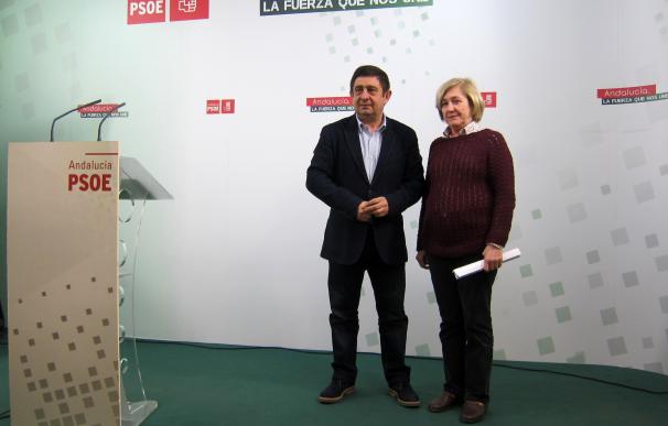 PSOE presenta medidas para mejorar la sanidad y no entra en la plataforma para no ser "cómplice" de PP y Podemos