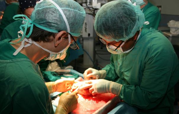 Investigadores hallan una nueva estructura celular que provoca rechazo de los trasplantes de órganos