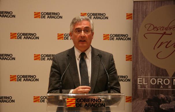 Olona recuerda al Ayuntamiento de Zaragoza que su "obligación" es facilitar los datos para el cobro del ICA