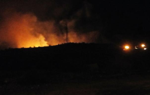 Los Bomberos extinguen un incendio forestal declarado en una rambla junto al polígono El Búho de Cieza