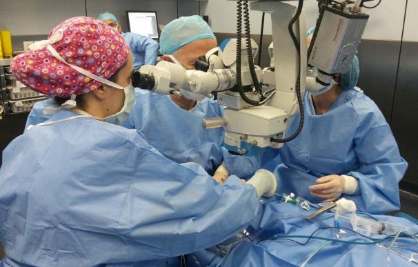 IMO implanta por primera vez en España el chip de retina 'IRIS II' a un paciente con ceguera por retinosis pigmentaria