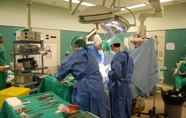España supera la barrera de los 2.000 donantes en 2016 y bate récord de órganos trasplantados con 4.818