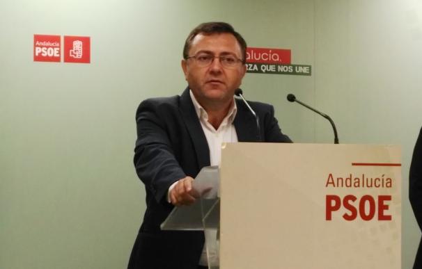 El PSOE-A pide al PP-A que deje de "dañar a Andalucía" con la "gran farsa" de los cursos de formación