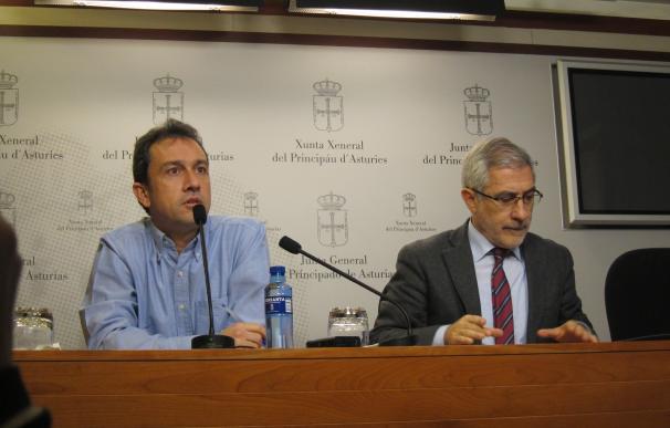 IU pide que se convoque la mesa asturiana sobre financiación autonómica "cuanto antes"