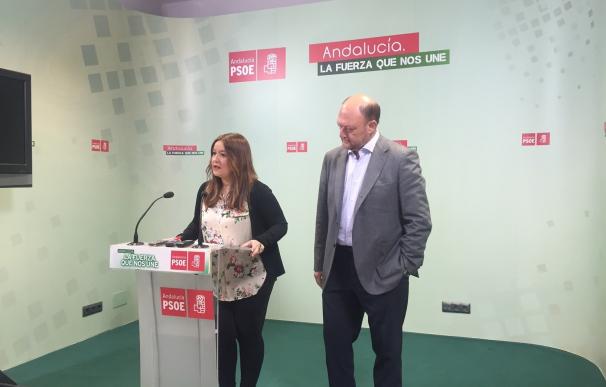 PSOE-A afirma, sobre acto de Pedro Sánchez, que las puertas de Andalucía "siempre están abiertas" a cualquier compañero