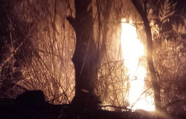 Arden casi 1.000 m2 de bosque de ribera en un conato de incendio forestal en el paraje El Menjú (Cieza)