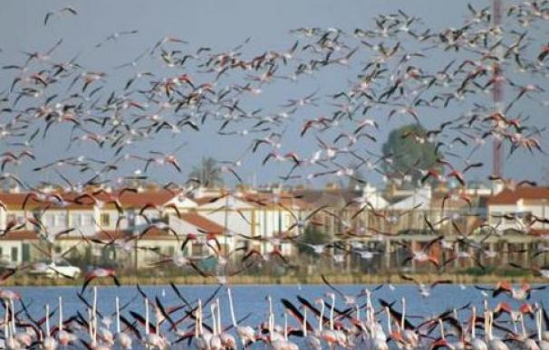 Los drones de Hacienda investigarán 11 municipios en Sevilla