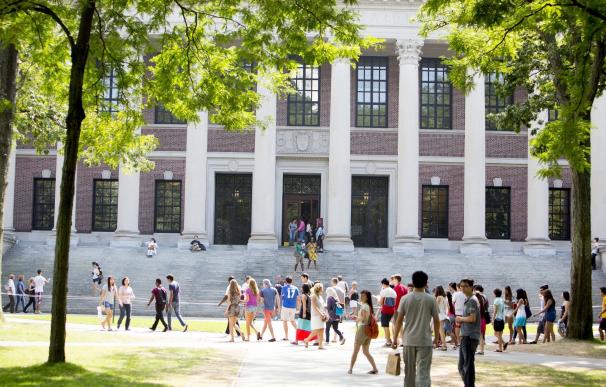 Entrar en las mejores universidades del mundo no depende sólo del expediente académico, según British Council School
